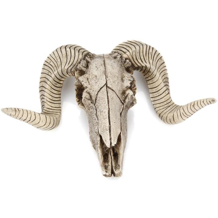 Kunst Schapen Schedel / Decor Dieren Skull Ram Kop Jacht Nep, Huis en Inrichting, Woonaccessoires | Wanddecoraties, Nieuw, Verzenden