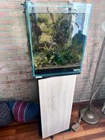 Sera scaper 80 liter, Dieren en Toebehoren, Ophalen, Zo goed als nieuw, Leeg aquarium