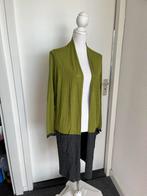 Expresso lang Vest gebreid mt 44 L (staat XL in) 1xgebruikt, Overige kleuren, Expresso, Maat 42/44 (L), Ophalen of Verzenden