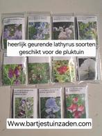 Zadenpakket lathyrus groot, Ophalen of Verzenden, Volle zon