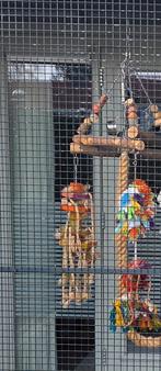 Papegaaie speelgoed, Ophalen of Verzenden, Gebruikt, Overige materialen, Overige typen