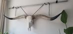 Decoratieve Stierenhoofd Wanddecoratie, Huis en Inrichting, Woonaccessoires | Overige, Ophalen, Zo goed als nieuw
