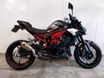 KAWASAKI Z900 (bj 2025), Motoren, 4 cilinders, Motorrijbewijs A, 948 cc, Bedrijf
