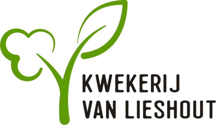 Bos- en haagplantsoen, Tuin en Terras, Planten | Struiken en Hagen, Struik, Overige soorten, Ophalen