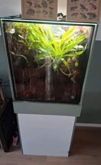 Te koop aangeboden: Compleet beplant terrarium/vivarium, Dieren en Toebehoren, Reptielen en Amfibieën | Toebehoren, Ophalen, Zo goed als nieuw