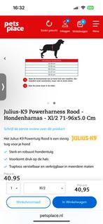 Hondenhalster Julius K9, Ophalen of Verzenden, Nieuw