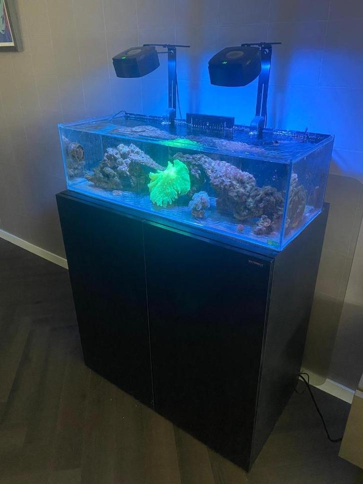 Zeewater aquarium met veel extra's, Dieren en Toebehoren, Vissen | Aquaria en Toebehoren, Zo goed als nieuw, Overige typen, Ophalen