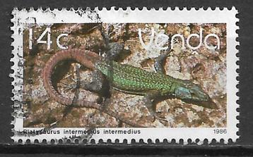 Venda Zuid Afrika 1986 Def serie reptielen hagedis aanvullin beschikbaar voor biedingen
