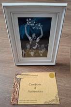 Door Sjaak Swart Ajax gesigneerde foto in lijst met COA!, Ophalen of Verzenden, Nieuw, Ajax