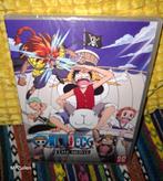 One Piece the Movie, Cd's en Dvd's, Dvd's | Tekenfilms en Animatie, Tekenfilm, Anime (Japans), Ophalen of Verzenden, Nieuw in verpakking
