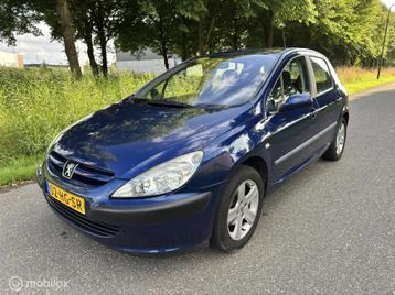 Peugeot 307 1.6-16V XS*NAP*DISTRIBUTIE VV*AIRCO*1E EIGENAAR beschikbaar voor biedingen