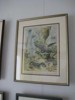 prent, Natuur, Ophalen of Verzenden, Zo goed als nieuw, Voor 1940