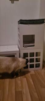 Katten boxen krabpaal slaapplek, Ophalen, Gebruikt