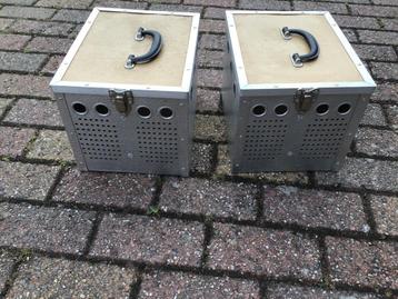 Duivenmanden beschikbaar voor biedingen