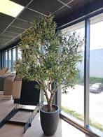 Kunstboom Olijfboom 250cm - Ultra realistisch - Nieuw, Ophalen of Verzenden, Nieuw, Binnen