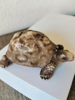 Schleich  dieren Schildpad  - 1991, Verzamelen, Dierenverzamelingen, Ophalen of Verzenden, Gebruikt, Reptiel of Amfibie, Beeldje of Figuurtje