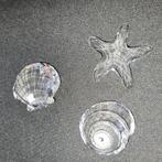 Aangeboden Swarovksi schelpenset groot, Ophalen of Verzenden, Gebruikt, Figuurtje