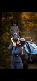 Knappe 5 jarige merrie te koop, Dieren en Toebehoren, Merrie, B, Dressuurpaard, 170 tot 175 cm