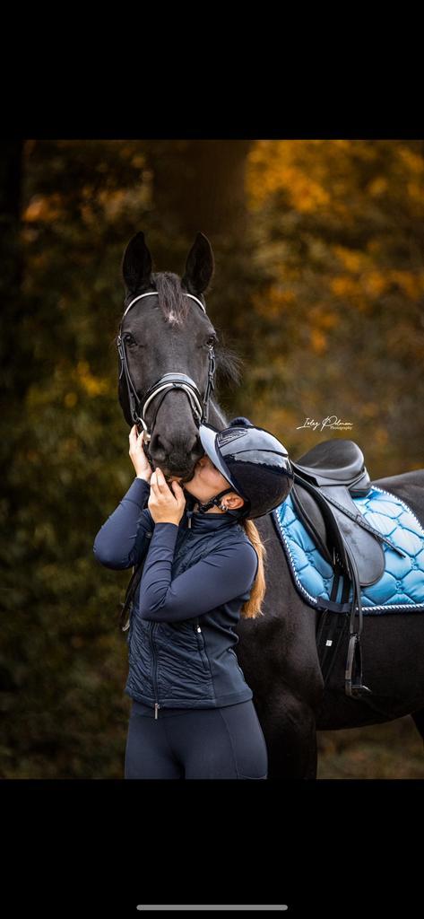 Knap 5 jarig paard te koop, Dieren en Toebehoren, Paarden, Merrie, B, 170 tot 175 cm, 3 tot 6 jaar