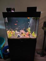 Aquarium Jewel 120 liter te koop!, Dieren en Toebehoren, Vissen | Aquaria en Toebehoren, Ophalen of Verzenden, Zo goed als nieuw