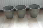 planten pot 3 stuks, Huis en Inrichting, Ophalen of Verzenden, Overige soorten, Halfschaduw, Minder dan 100 cm
