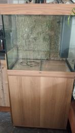 aquarium met kast, Dieren en Toebehoren, Vissen | Aquaria en Toebehoren, Ophalen, Zo goed als nieuw, Leeg aquarium