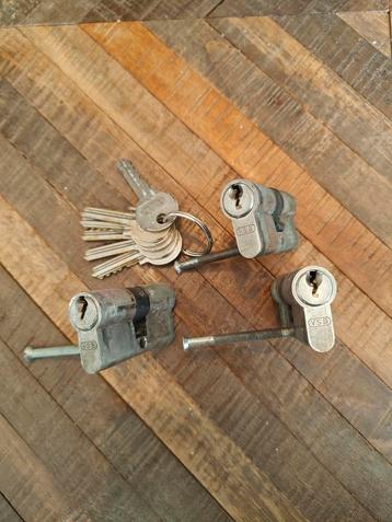 3 Gelijksluitende Cilinders 30/30mm met 6 sleutels beschikbaar voor biedingen