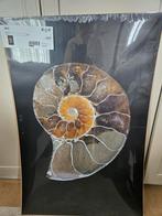 Ikea Bild poster, foto., Ophalen of Verzenden, Nieuw, Foto of Poster