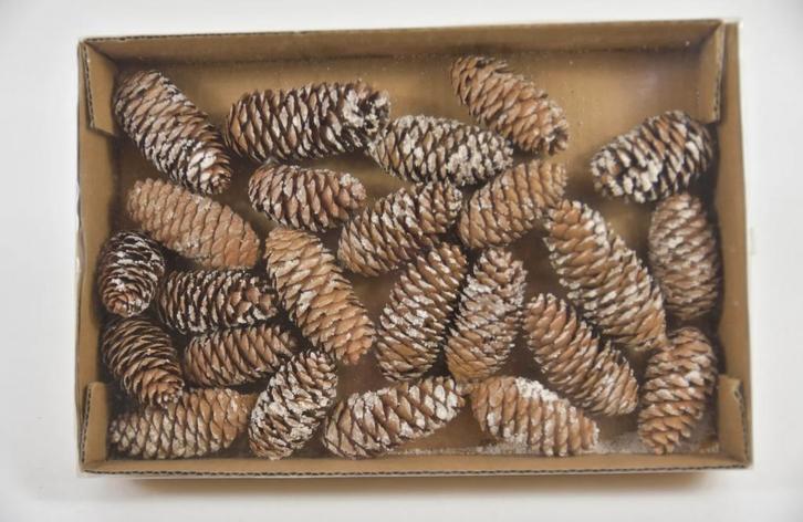 Dennenappels besneeuwd minispar 24 stuks, Huis en Inrichting, Woonaccessoires | Kransen, Nieuw, Ophalen of Verzenden
