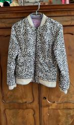 Meisjesjas maat 158 / 164 paars, Kleding | Dames, Paars, Wefashion, Ophalen of Verzenden, Jasje