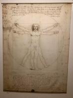 Mens van Vitruvius - Leonardo da Vinci op doek 2.00x1.50, Ophalen, Zo goed als nieuw