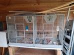 Mooie kooi, Dieren en Toebehoren, Ophalen of Verzenden, Zo goed als nieuw, Metaal, Vogelkooi