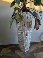 Schelpen vaas 165 hoog diameter 70, Huis en Inrichting, Woonaccessoires | Vazen, Ophalen, Overige kleuren, 75 cm of meer, Glas