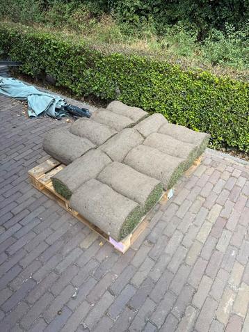 Graszoden 11m2 - Gratis af te halen beschikbaar voor biedingen