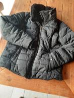 Dorothy Perkins dames winterjack. Kleur: zwart maat: 46, Zwart, Maat 46/48 (XL) of groter, Ophalen of Verzenden, Zo goed als nieuw