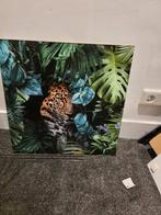 Glas Schilderijen 50x50, Ophalen, 50 tot 75 cm, Zo goed als nieuw, Schilderij