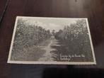ROCKANJE  Laantje bij de Ronde Wei, Verzamelen, Ophalen of Verzenden, 1920 tot 1940, Gelopen, Zuid-Holland