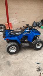 Mooie POLARIS sawthooth 200cc, Ophalen of Verzenden, Zo goed als nieuw, Overige typen