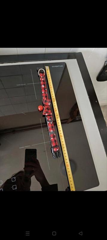 Kerst halsband hond beschikbaar voor biedingen