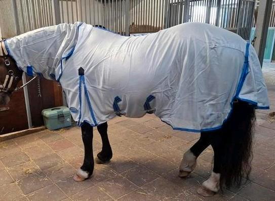 Weatherbeeta vliegendeken, Dieren en Toebehoren, Paarden en Pony's | Dekens en Dekjes, Zo goed als nieuw, Deken, Ophalen of Verzenden