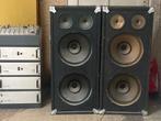 LEM Zanginstallatie, met boxen 2 versterkers en bandecho, Muziek en Instrumenten, Ophalen, Gebruikt, Minder dan 500 watt, Overige typen