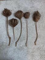 gedroogde bloemen, Huis en Inrichting, Woonaccessoires | Droogbloemen, Ophalen of Verzenden, Zo goed als nieuw