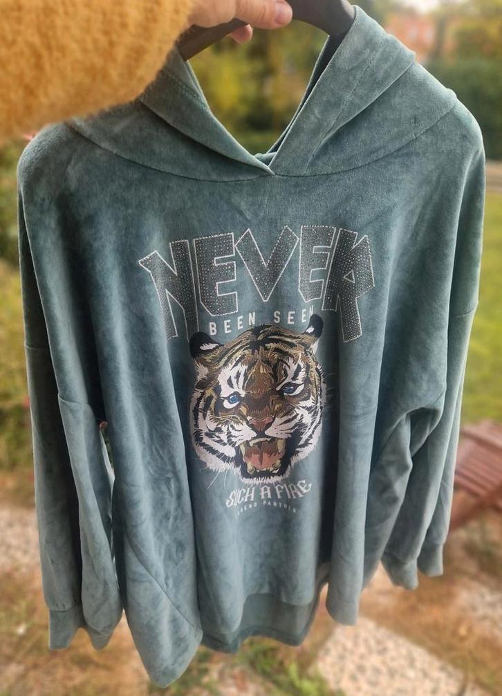 Paprika hoody blauwgroen velours maat xl/xxl, Kleding | Dames, Grote Maten, Nieuw, Trui of Vest, Ophalen of Verzenden