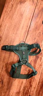 Y-tuigje maat S, Ophalen of Verzenden, Zo goed als nieuw