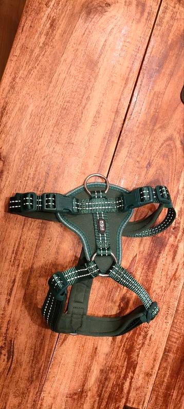 Y-tuigje maat S beschikbaar voor biedingen