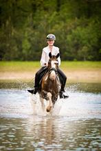 Leuke D pony, Dieren en Toebehoren, Pony's, Springpony, L, 11 jaar of ouder, D pony (1.37m tot 1.48m)