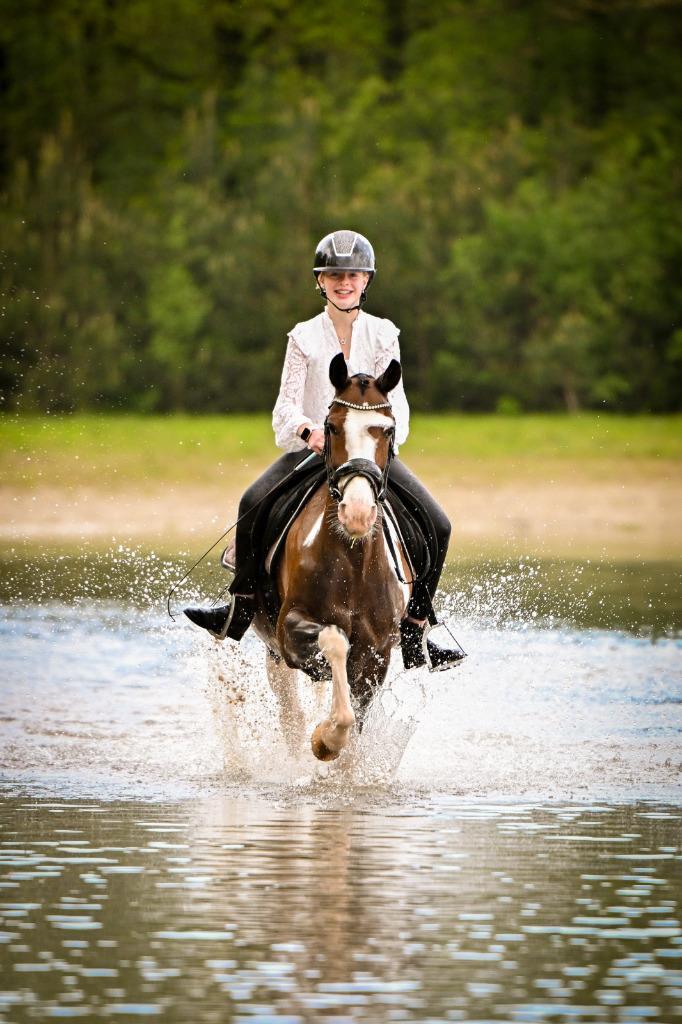 Leuke D pony, Dieren en Toebehoren, Pony's, Merrie, L, D pony (1.37m tot 1.48m), Springpony, 11 jaar of ouder, Gechipt, Ontwormd
