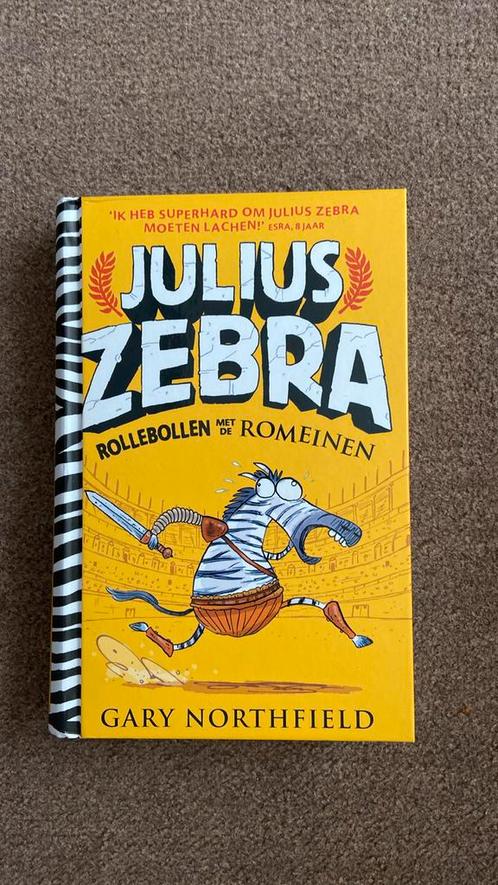 Gary Northfield - Rollebollen met de Romeinen, Boeken, Kinderboeken | Jeugd | onder 10 jaar, Zo goed als nieuw, Ophalen of Verzenden