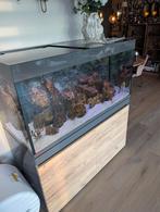 Eheim aquarium 430, Dieren en Toebehoren, Vissen | Aquaria en Toebehoren, Ophalen, Gebruikt, Gevuld zoetwateraquarium