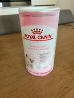 Kittenmelk poeder Royal Canin, Ophalen of Verzenden, Zo goed als nieuw